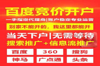 SEM代运营案例分析：精准投放策略解析